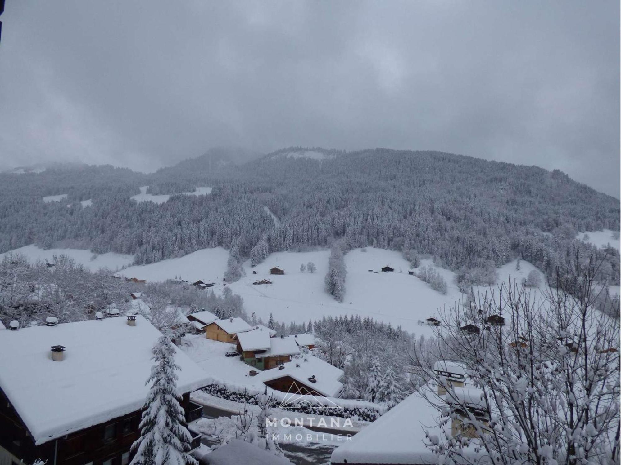 Studio Renove Avec Cabine - 26M² - 5 Pers - Balcon Expose Sud - Pres Skibus Et Remontees Mecaniques - Fr-1-458-125 Le Grand-Bornand Bagian luar foto
